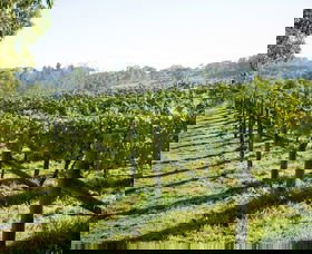 Surveyor's Hill Vineyards - Sunshine Coast Guide 0