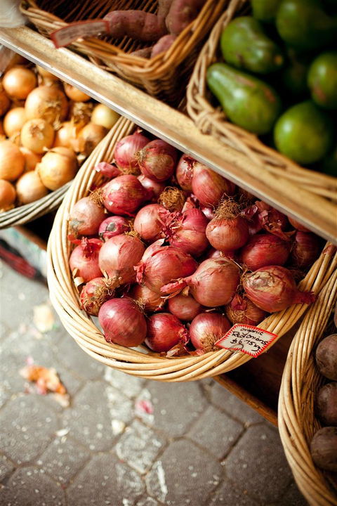 Salamanca Market - Sunshine Coast Guide 3