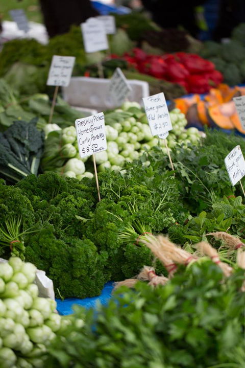 Salamanca Market - Sunshine Coast Guide 5