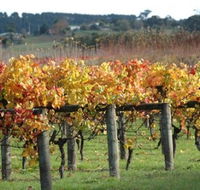 Apsley Gorge Vineyard - Sunshine Coast Guide