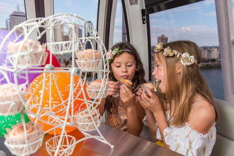The Wheel Of Brisbane - Sunshine Coast Guide 2