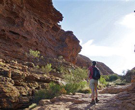 Giles Track - Sunshine Coast Guide 0