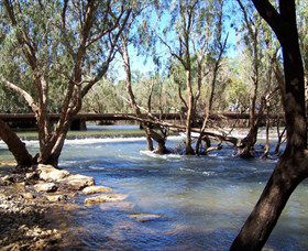 Low Level Nature Reserve - Sunshine Coast Guide 0