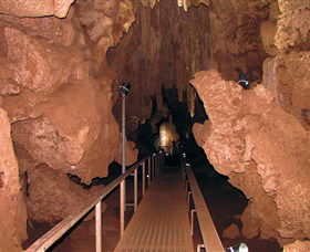 Cutta Cutta Caves Nature Park - Sunshine Coast Guide 0