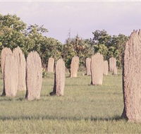 Magnetic Termite Mounds - Sunshine Coast Guide