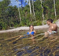 Tjaynera/Sandy Creek Falls - Sunshine Coast Guide