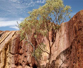 Ochre Pits - Sunshine Coast Guide 0