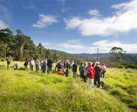 Austinville QLD Sunshine Coast Guide