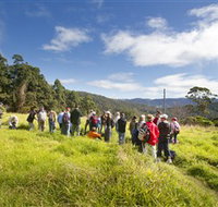 Apple Tree Park - Sunshine Coast Guide