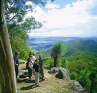 Gold Coast Hinterland Great Walk - Sunshine Coast Guide