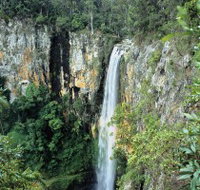 Gondwana Rainforests of Australia - Sunshine Coast Guide