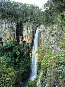 Gondwana Rainforests Of Australia - Sunshine Coast Guide 0