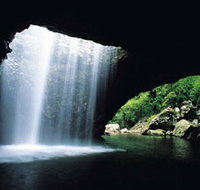 Natural Bridge Springbrook National Park - Sunshine Coast Guide