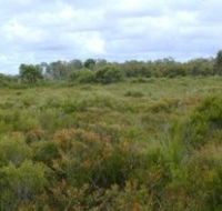 Pine Ridge Conservation Park - Sunshine Coast Guide