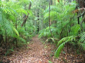 Mapleton QLD Sunshine Coast Guide