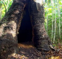 Tewantin National Park - Sunshine Coast Guide