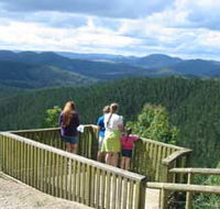 Kenilworth Forest Reserve