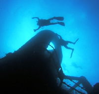 Ex HMAS Brisbane Dive Site - Sunshine Coast Guide