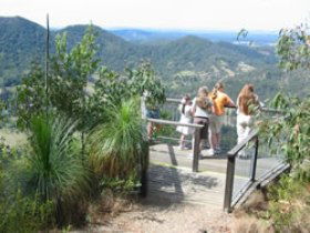 Mapleton Forest Reserve - Sunshine Coast Guide 0