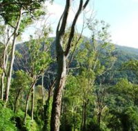 Smiths Track Barron Gorge National Park - Sunshine Coast Guide