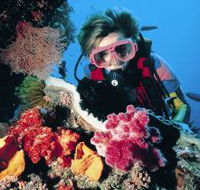 Osprey Reef - Sunshine Coast Guide