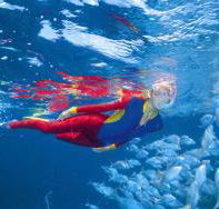 Pixie Pinnacle Dive Site - Sunshine Coast Guide