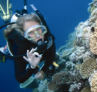 Moore Reef Dive Site - Sunshine Coast Guide