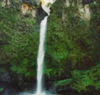 Nandroya Falls Circuit Track Wooroonooran National Park - Sunshine Coast Guide