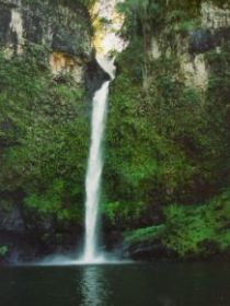 Nandroya Falls Circuit Track, Wooroonooran National Park - Sunshine Coast Guide 0