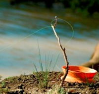 Charleville - Mangalore Warrego River Fishing Spot - Sunshine Coast Guide