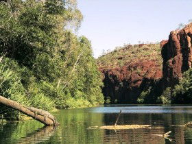 Lawn Hill Circuit - Sunshine Coast Guide 0
