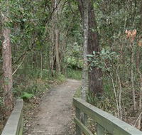 Springwood Conservation Park - Sunshine Coast Guide