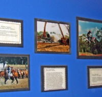 Town Hall Photographic Display - Sunshine Coast Guide