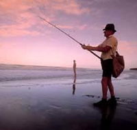 The Serenity Coast - Sunshine Coast Guide