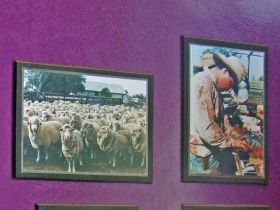 Charleville Photographic Display - Sunshine Coast Guide 0