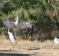 Bulloo River Walk - Sunshine Coast Guide