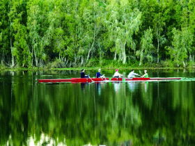 Pioneer Park And Ross River - Sunshine Coast Guide 0