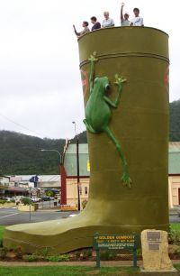 Golden Gumboot - Sunshine Coast Guide 0