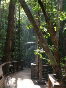 Basin Lake Track - Sunshine Coast Guide 0