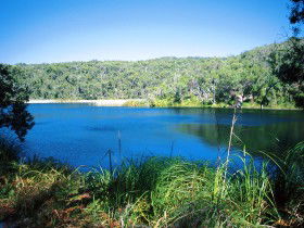 Karboora Track - Sunshine Coast Guide 0