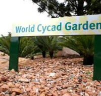Anderson Park Botanic Gardens - Sunshine Coast Guide