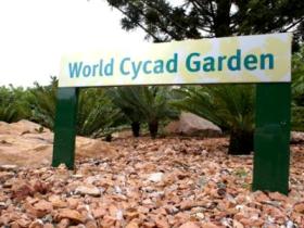 Anderson Park Botanic Gardens - Sunshine Coast Guide 0