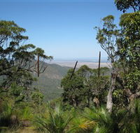 Zamia Walk - Sunshine Coast Guide