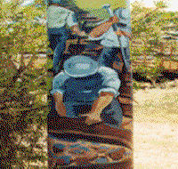Alpha Murals - Sunshine Coast Guide