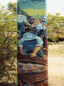 Alpha Murals - Sunshine Coast Guide 0