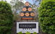 Sirromet Winery - thumb 7