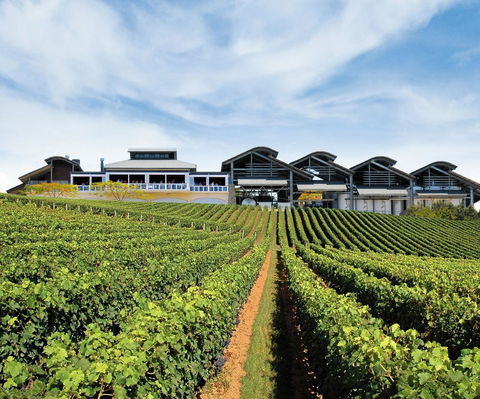 Sirromet Winery - Sunshine Coast Guide 12