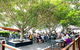 Sirromet Winery - thumb 15