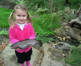 Rhyll VIC Sunshine Coast Guide