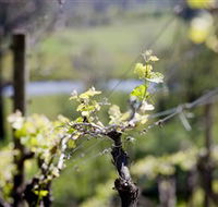 Downing Estate - Sunshine Coast Guide